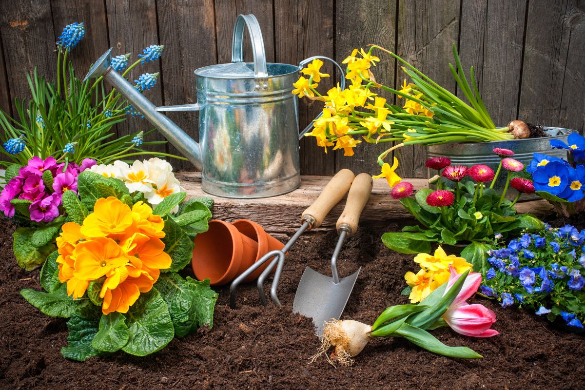 5 Natural Pest Control Tips Every Gardener Should Know