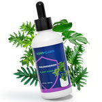 Philodendron 4 fl.oz