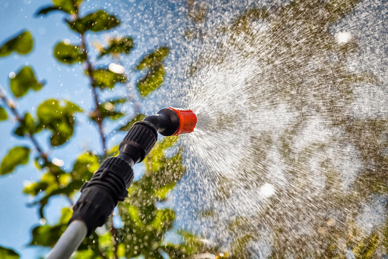 The Need for a Good Sprayer for Your Plants: A Gardener’s Essential Tool