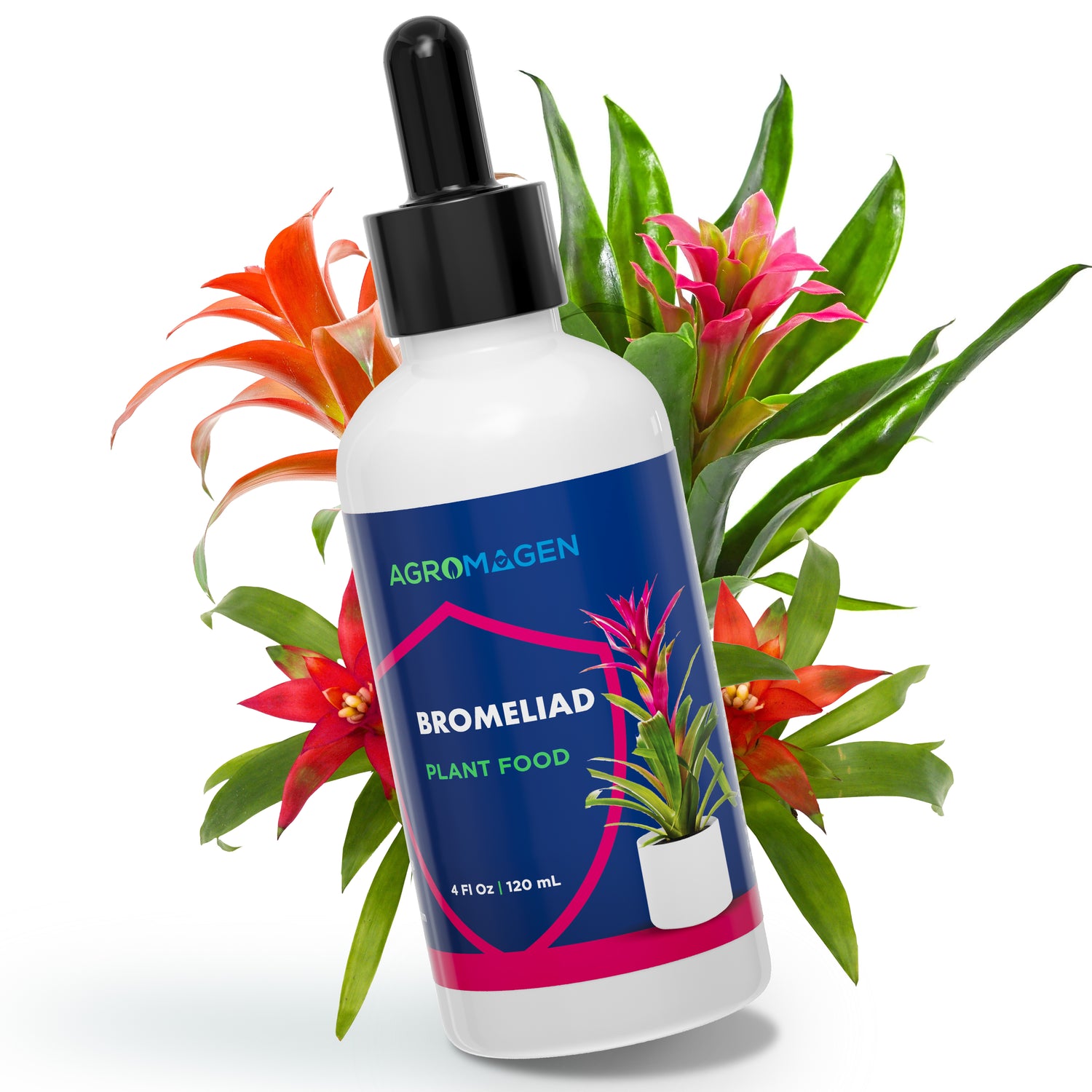 Bromeliad 4 fl.oz