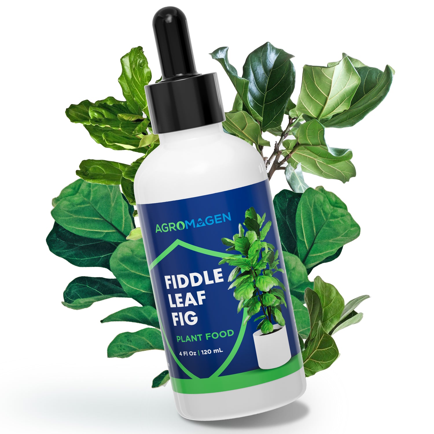 Fiddle Fig Leaf 4 fl.oz