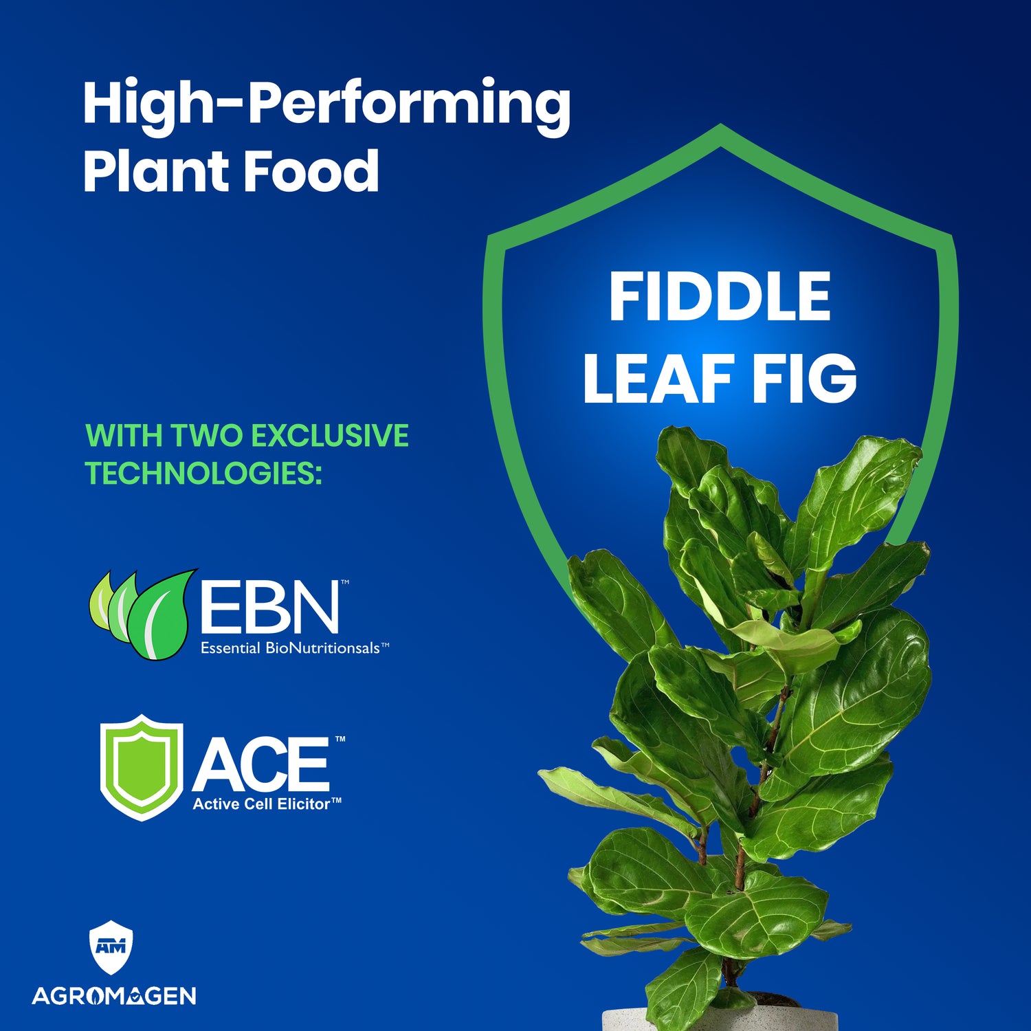 Fiddle Fig Leaf 4 fl.oz