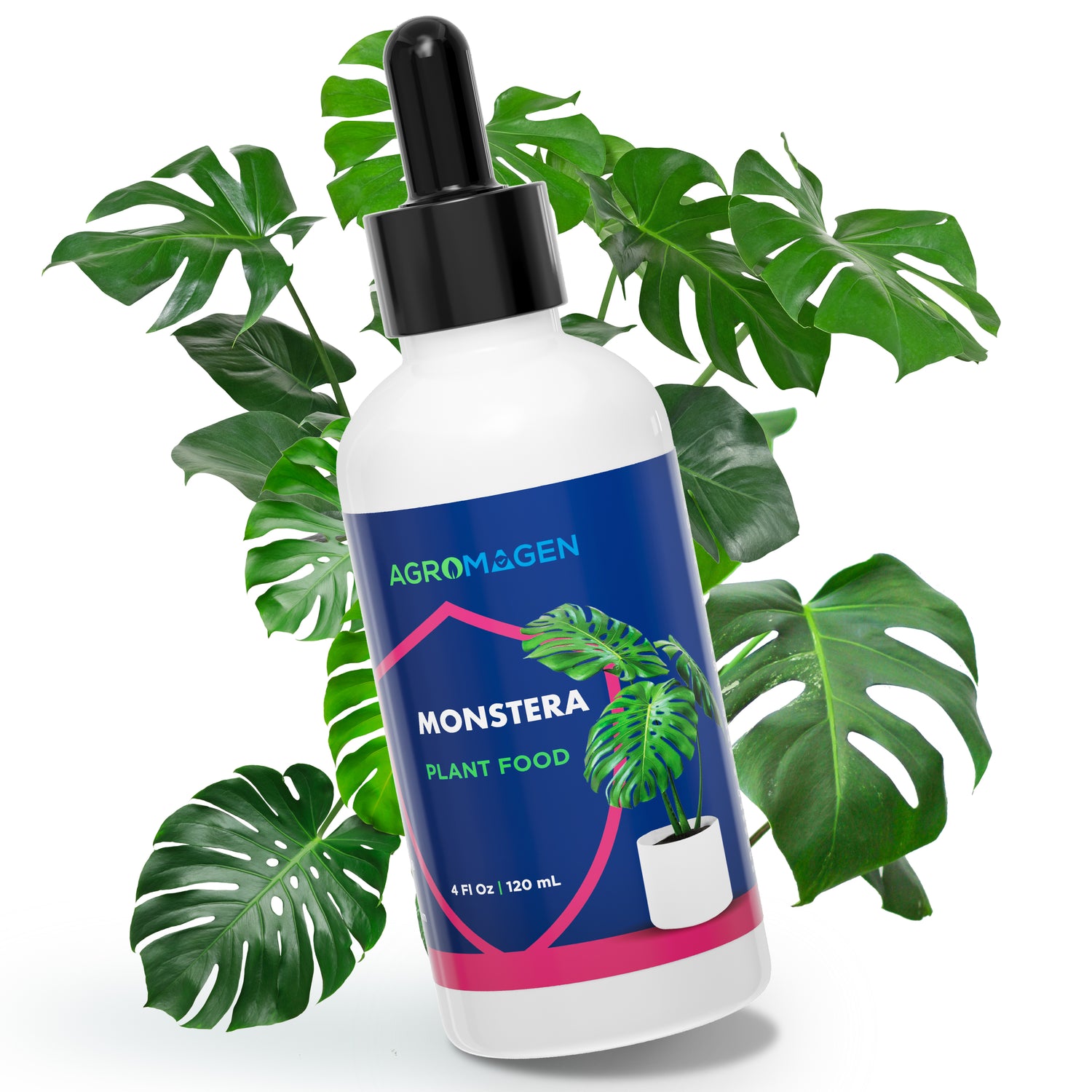 Monstera 4 fl.oz