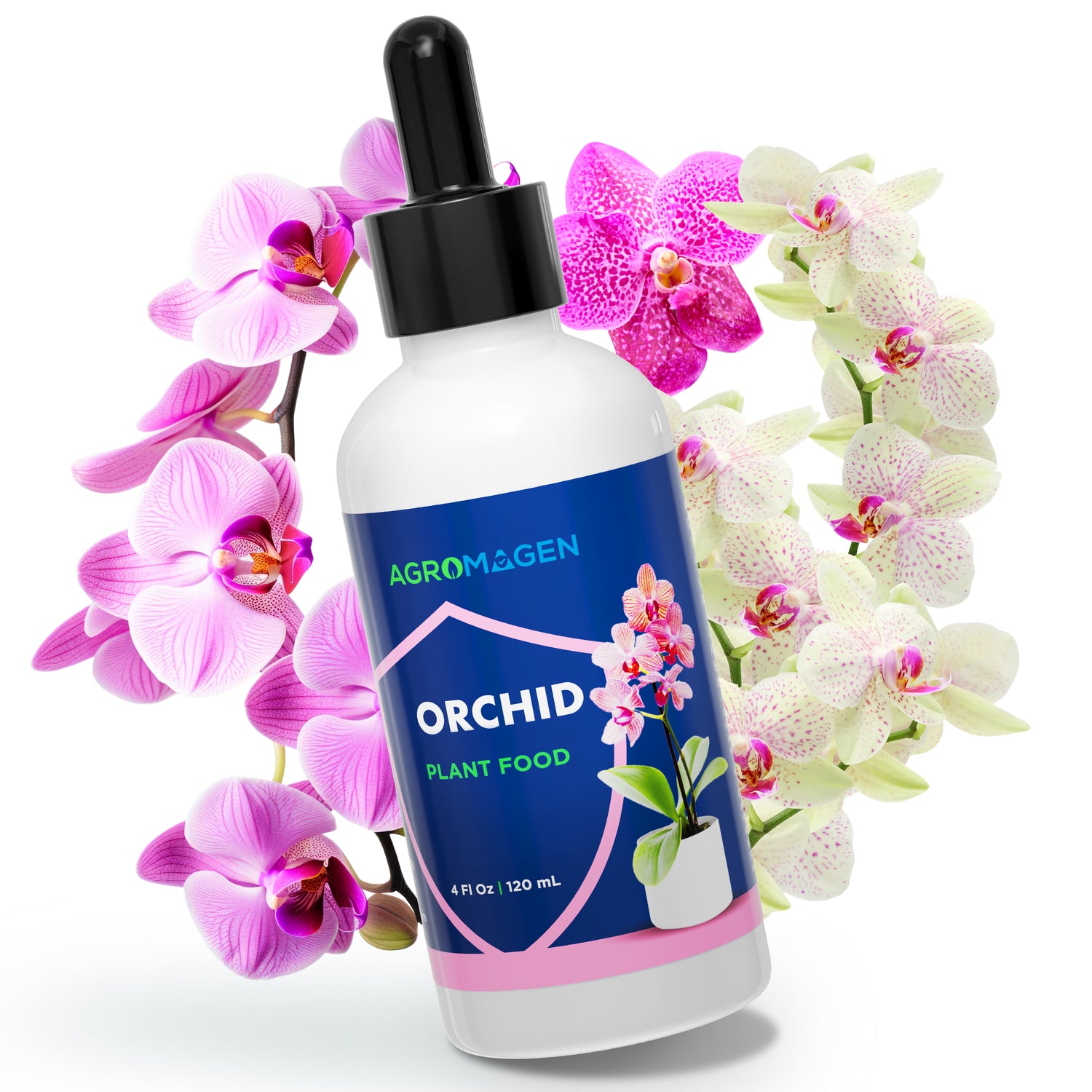 Orchid 4 fl.oz