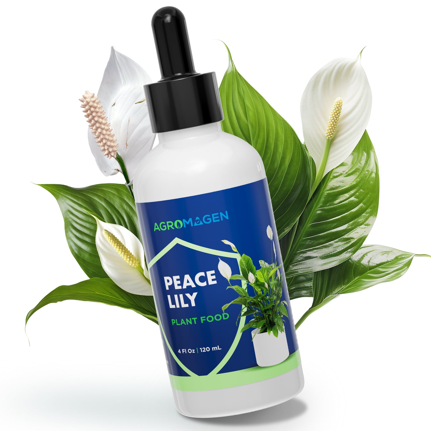 Peace lily 4 fl.oz