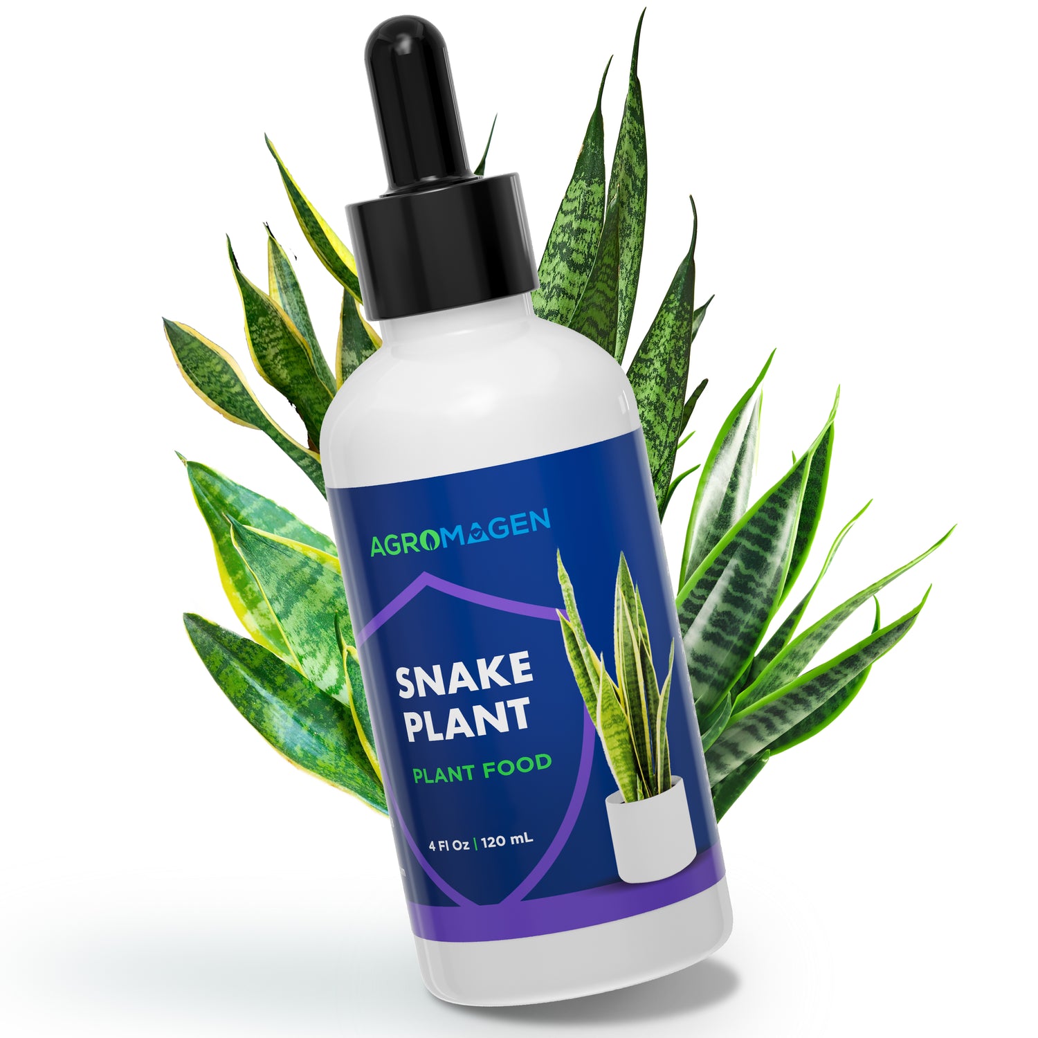 Snake Plant 4 fl.oz